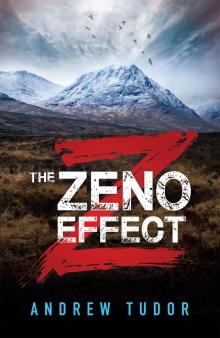 The Zeno Effect