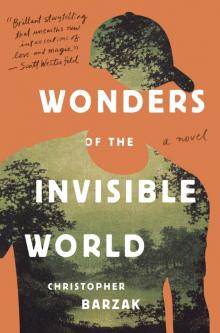 Wonders of the Invisible World