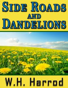 Side Roads and Dandelions