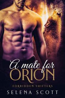 A Mate For Orion (Forbidden Shifters Series Book 5)