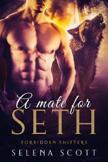 A Mate For Seth