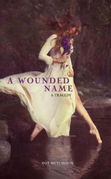 A Wounded Name (Fiction - Young Adult)