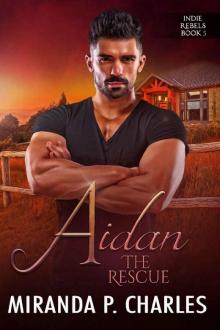 Aidan: The Rescue (Indie Rebels Book 5)