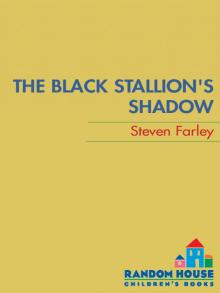 Black Stallion's Shadow