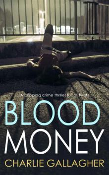 BLOOD MONEY a gripping crime thriller full of twists