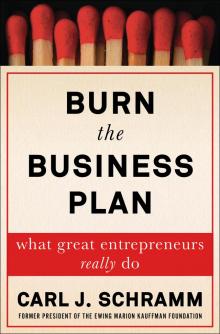 Burn the Business Plan