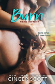 Burn: The Fuel Series Book 3