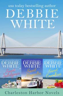 Charleston Harbor Novels: Books 1 - 3