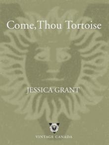 Come, Thou Tortoise