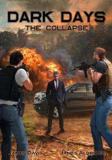 Dark Days (Book 1): The Collapse