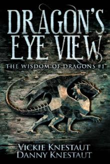 Dragon's-Eye View