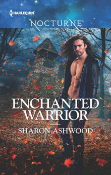 Enchanted Warrior