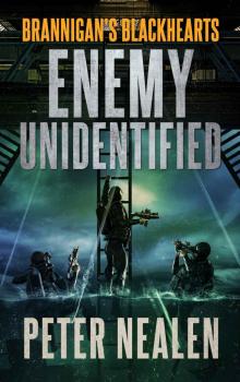 Enemy Unidentified (Brannigan's Blackhearts Book 3)