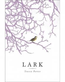 Lark