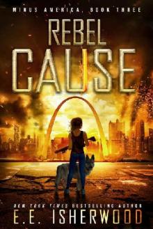 Minus America (Book 3): Rebel Cause