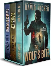 Noah Wolf Box Set 2