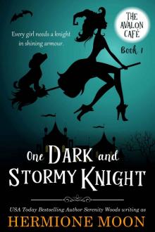 One Dark and Stormy Knight