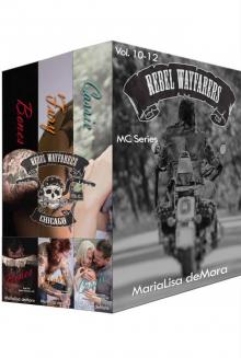 Rebel Wayfarers MC Boxset 4