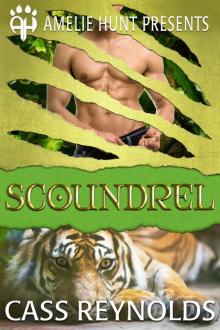 Scoundrel (Emerald Isle Tigers Book 1)