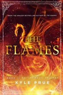 The Flames: Book 2 of the Feud Trilogy