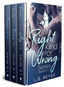 The Right Kind Of Wrong Series: Books 1-3