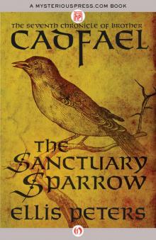 The Sanctuary Sparrow