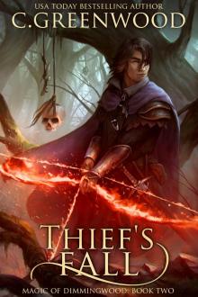 Thief's Fall