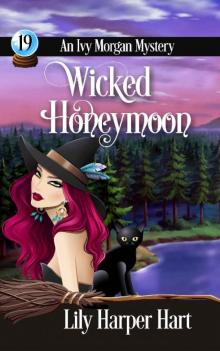 Wicked Honeymoon (An Ivy Morgan Mystery Book 19)