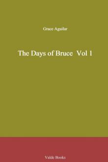 The Days of Bruce Vol 1