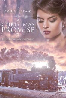 A Christmas Promise (Kansas Crossroads Book 16)