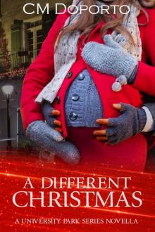 A Different Christmas: Novella (University Park Series)