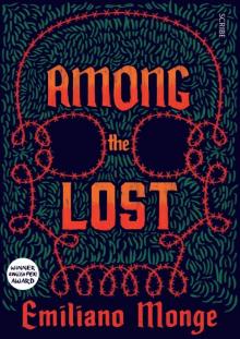 Among the Lost