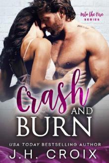 Crash & Burn (Into The Fire Series Book 10)