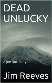 DEAD UNLUCKY: A Joe Box Story