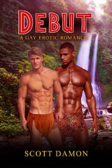 Debut: A Gay Erotic Romance