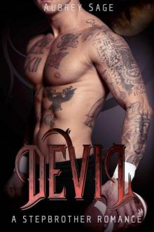 DEVIL: A Stepbrother Romance