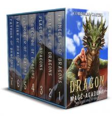 Dragon Mage Academy Box Set