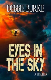 Eyes in the Sky