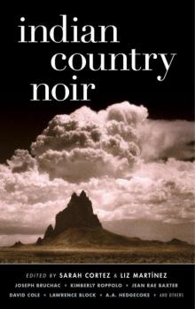 Indian Country Noir (Akashic Noir)