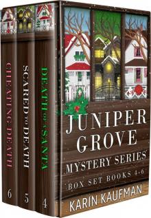 Juniper Grove Cozy Mystery Box Set 2