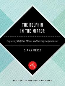 The Dolphin in the Mirror