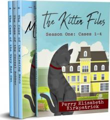 The Kitten Files, Season One