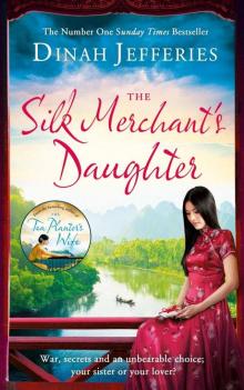 The Silk Merchant’s Daughter