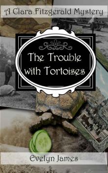 The Trouble With Tortoises