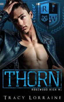 THORN: A High School Bully Romance (Rosewood Book 1)