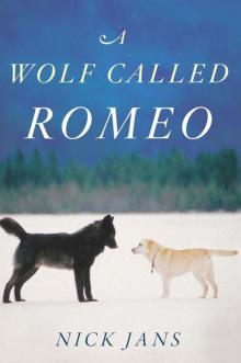 A Wolf Called Romeo