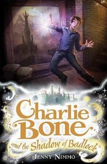 Charlie Bone and the Shadow