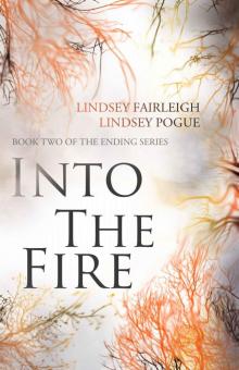 Into The Fire (The Ending Series)