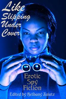 Like Slipping Under Cover: Erotic Spy Fiction