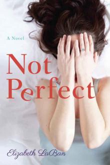 Not Perfect: A Novel